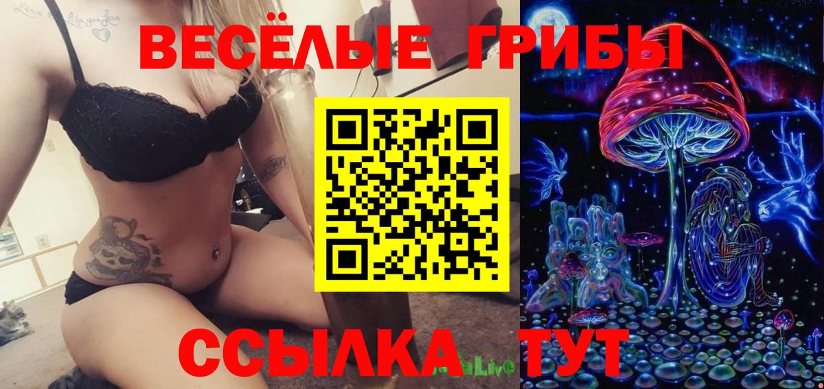 Галлюциногенные грибы Psilocybe  Галлюциногенные грибы Psilocybe  Ливны  Вход с VPN 